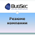 Перевод презентации (.ppt)